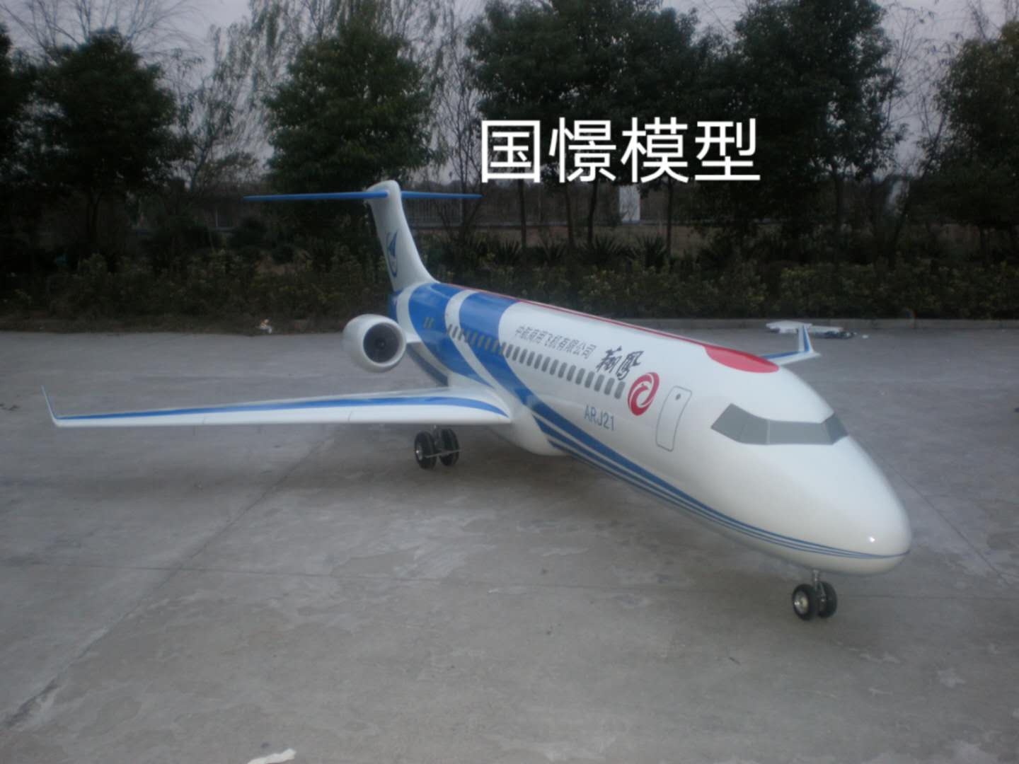 射洪市飞机模型