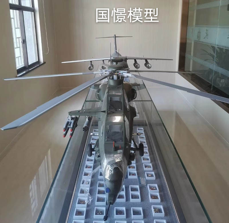 射洪市飞机模型