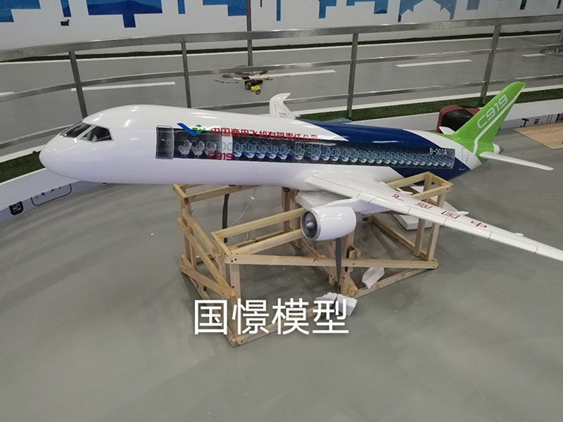 射洪市飞机模型