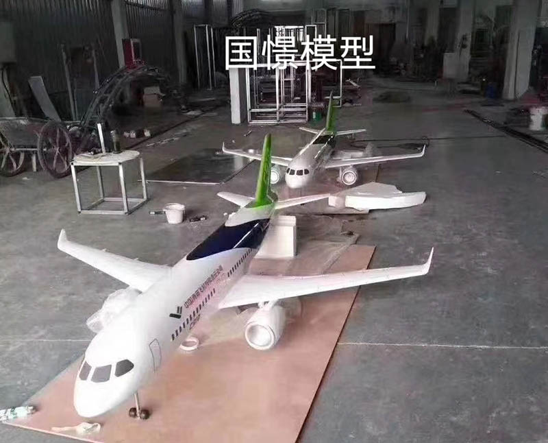 射洪市飞机模型