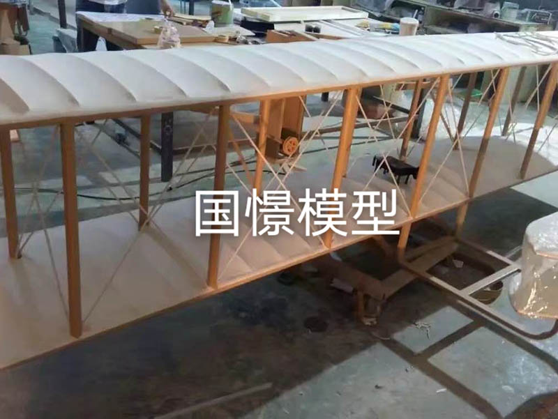 射洪市飞机模型