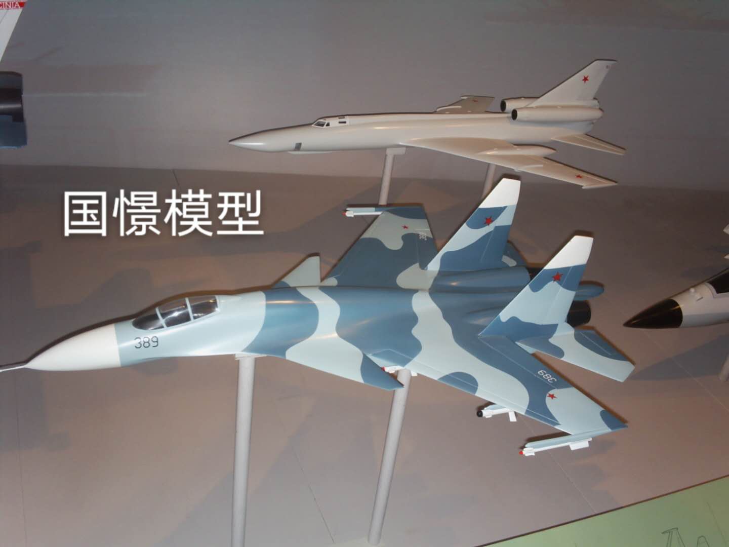 射洪市军事模型