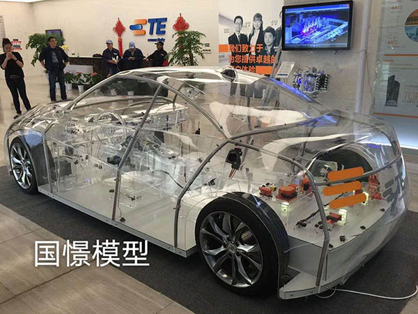 射洪市透明车模型